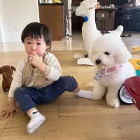 processed/b2d654e3-29be-4519-8cf1-fc214f5bbd38/listing/94456185-c78c-441f-8979-5ca5c60791ae/1637218b-f3af-4d8f-bbd7-5c9f443fbc67