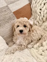 processed/b2d654e3-29be-4519-8cf1-fc214f5bbd38/listing/94456185-c78c-441f-8979-5ca5c60791ae/322c222b-9b62-4f93-8c41-64f424981d6a