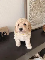 processed/b2d654e3-29be-4519-8cf1-fc214f5bbd38/listing/d75827bf-bd2c-4ab7-9e42-8862d73719cf/2d0f925b-d4bb-4dcb-bb85-9ee6f8fb780f