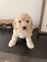 processed/b2d654e3-29be-4519-8cf1-fc214f5bbd38/listing/d75827bf-bd2c-4ab7-9e42-8862d73719cf/d636eb4f-a1f1-4eec-a515-80db11e39e56