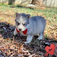 processed/b2d769dd-5a1b-4b78-9d6d-24729dea199a/listing/42854c7f-a354-488b-a6a2-d4e53a6253ee/a8e9a325-a0c3-468f-af14-3a1a27823544