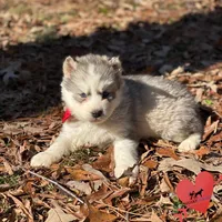 processed/b2d769dd-5a1b-4b78-9d6d-24729dea199a/listing/42854c7f-a354-488b-a6a2-d4e53a6253ee/bef81558-99b7-4986-ba26-591358d4637d