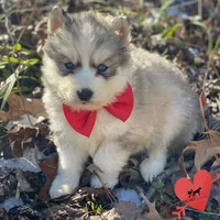 processed/b2d769dd-5a1b-4b78-9d6d-24729dea199a/listing/42854c7f-a354-488b-a6a2-d4e53a6253ee/f494b5aa-ab6e-4e23-b920-7431b531399e