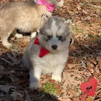 processed/b2d769dd-5a1b-4b78-9d6d-24729dea199a/listing/42854c7f-a354-488b-a6a2-d4e53a6253ee/f84a8ca6-394a-4649-86ea-93df5a139ad8