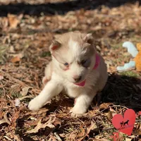 processed/b2d769dd-5a1b-4b78-9d6d-24729dea199a/listing/4f68cdec-5ad2-456a-ba2b-59b8752b1f32/6b26ac1a-b6e6-4353-b904-b2a3fc91cacd