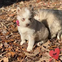 processed/b2d769dd-5a1b-4b78-9d6d-24729dea199a/listing/4f68cdec-5ad2-456a-ba2b-59b8752b1f32/762dfbfb-b116-436f-a749-5897d1538f75