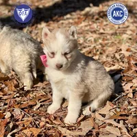 processed/b2d769dd-5a1b-4b78-9d6d-24729dea199a/listing/4f68cdec-5ad2-456a-ba2b-59b8752b1f32/d14ee8e9-15db-4b06-b787-eeeb492b13b5