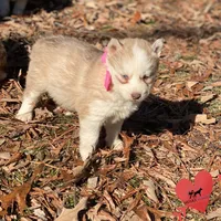 processed/b2d769dd-5a1b-4b78-9d6d-24729dea199a/listing/4f68cdec-5ad2-456a-ba2b-59b8752b1f32/fad7c89b-ee97-4536-b7ad-b74f17d8522a