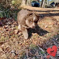 processed/b2d769dd-5a1b-4b78-9d6d-24729dea199a/listing/d06b6f70-74b2-4f2e-bd5f-165e72255c8a/c3fa8f0f-12d6-40c9-9618-36ba0c2d645b