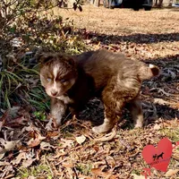 processed/b2d769dd-5a1b-4b78-9d6d-24729dea199a/listing/d06b6f70-74b2-4f2e-bd5f-165e72255c8a/fd7989d2-9e5c-4118-9859-d6847ec0e4d3