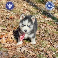 processed/b2d769dd-5a1b-4b78-9d6d-24729dea199a/listing/fd8ed3d9-c0a2-42c1-b4cd-16d265644804/3fb1138c-2ffe-486d-92d4-c1f04af849b6