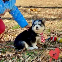 processed/b2d769dd-5a1b-4b78-9d6d-24729dea199a/listing/fd8ed3d9-c0a2-42c1-b4cd-16d265644804/95dfde3e-e798-443d-bdcd-5b645f6e1f1a