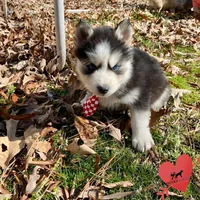 processed/b2d769dd-5a1b-4b78-9d6d-24729dea199a/listing/fd8ed3d9-c0a2-42c1-b4cd-16d265644804/b8586709-5c75-4a30-834d-e47553b714c3