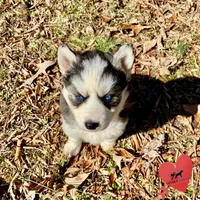 processed/b2d769dd-5a1b-4b78-9d6d-24729dea199a/listing/fd8ed3d9-c0a2-42c1-b4cd-16d265644804/d8188afa-615f-45eb-9856-c48f8bc35b8e