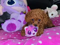 processed/b2e44312-ea9c-4863-bcc8-36bd2c1554f7/listing/bbe19ee7-63de-4166-a403-945e320e98d2/51c4e3f0-fc44-45c8-91dc-f614e1662a52