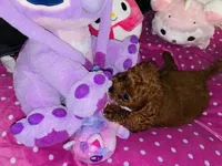 processed/b2e44312-ea9c-4863-bcc8-36bd2c1554f7/listing/bbe19ee7-63de-4166-a403-945e320e98d2/bc8eccaa-4762-4a99-afa0-ae8787881f0d