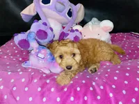 processed/b2e44312-ea9c-4863-bcc8-36bd2c1554f7/listing/e6aeeb4d-7cba-4a85-b363-21fbc9497fd4/662bc745-2e29-4bf4-8be4-e700ea1afb10