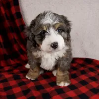 processed/b2e52eec-b537-4925-b156-977fc3587793/listing/24268438-4056-47d3-88c5-99f9fde9eba8/2b13031f-0117-4514-8f11-37f14ed220b8