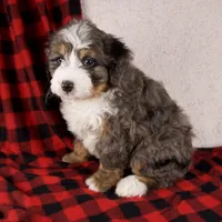 processed/b2e52eec-b537-4925-b156-977fc3587793/listing/24268438-4056-47d3-88c5-99f9fde9eba8/67b2b3d5-a4c2-4422-8a42-0f5f529216ab