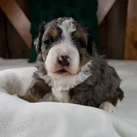 processed/b2e52eec-b537-4925-b156-977fc3587793/listing/24268438-4056-47d3-88c5-99f9fde9eba8/9dfa5b51-3e0d-4ec9-8ead-5385bd193eed