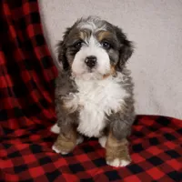 processed/b2e52eec-b537-4925-b156-977fc3587793/listing/24268438-4056-47d3-88c5-99f9fde9eba8/c7ba694f-96e6-4e4f-bb58-597bd777a55c