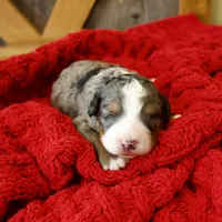 processed/b2e52eec-b537-4925-b156-977fc3587793/listing/24268438-4056-47d3-88c5-99f9fde9eba8/ccad7bcc-2c15-4229-908b-2c0c4d7b75cb