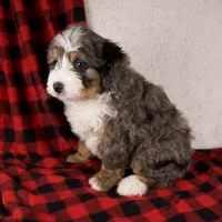 processed/b2e52eec-b537-4925-b156-977fc3587793/listing/24268438-4056-47d3-88c5-99f9fde9eba8/d590f051-0ff0-45c4-ae29-5df62bfdee83