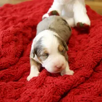 processed/b2e52eec-b537-4925-b156-977fc3587793/listing/7b98bdfd-7173-443f-83ff-81f47ab7e871/00fbb207-1330-428c-82de-57ab78b42b03