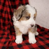 processed/b2e52eec-b537-4925-b156-977fc3587793/listing/7b98bdfd-7173-443f-83ff-81f47ab7e871/074373ad-a9e6-4f98-87ad-85cc888797a1