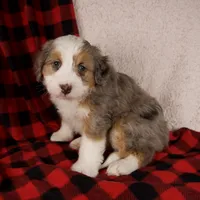 processed/b2e52eec-b537-4925-b156-977fc3587793/listing/7b98bdfd-7173-443f-83ff-81f47ab7e871/0bad4778-7b34-4797-a018-531d8ebad4f3