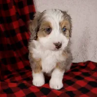 processed/b2e52eec-b537-4925-b156-977fc3587793/listing/7b98bdfd-7173-443f-83ff-81f47ab7e871/513c781f-fcf8-4f9a-8971-982ba8b0f5a6