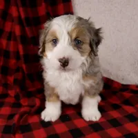 processed/b2e52eec-b537-4925-b156-977fc3587793/listing/7b98bdfd-7173-443f-83ff-81f47ab7e871/579b08c2-5583-4428-b12c-13276a07727d