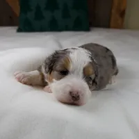 processed/b2e52eec-b537-4925-b156-977fc3587793/listing/7b98bdfd-7173-443f-83ff-81f47ab7e871/5ca54f5a-6895-42b0-979e-0b8e14e41aec