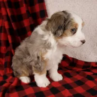 processed/b2e52eec-b537-4925-b156-977fc3587793/listing/7b98bdfd-7173-443f-83ff-81f47ab7e871/8ed54167-a949-4de6-ac62-b44ad55492bf