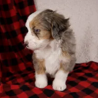 processed/b2e52eec-b537-4925-b156-977fc3587793/listing/7b98bdfd-7173-443f-83ff-81f47ab7e871/fd472748-633e-40ec-807a-543544f1b652