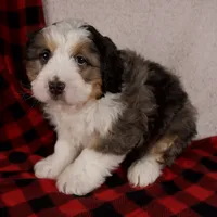 processed/b2e52eec-b537-4925-b156-977fc3587793/listing/8f97812d-a061-497f-a1d4-d31ec1950b0a/1e955b82-1f40-4be1-a074-8b391dc2bc26