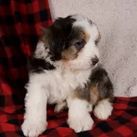 processed/b2e52eec-b537-4925-b156-977fc3587793/listing/8f97812d-a061-497f-a1d4-d31ec1950b0a/5180a50c-cf91-4265-afa7-6795a1ea34ef