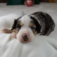 processed/b2e52eec-b537-4925-b156-977fc3587793/listing/8f97812d-a061-497f-a1d4-d31ec1950b0a/55e03f6d-a3ca-4f62-a140-01cf9f017ab9