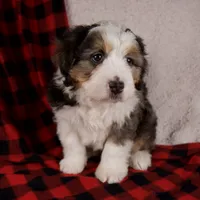 processed/b2e52eec-b537-4925-b156-977fc3587793/listing/8f97812d-a061-497f-a1d4-d31ec1950b0a/61133c0e-2aeb-48a7-9e34-4d277246afb4