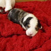 processed/b2e52eec-b537-4925-b156-977fc3587793/listing/8f97812d-a061-497f-a1d4-d31ec1950b0a/7e9040f1-101e-4b0e-98ad-0ea6941cfbdb