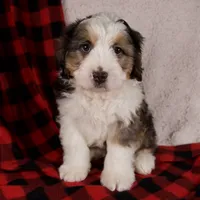 processed/b2e52eec-b537-4925-b156-977fc3587793/listing/8f97812d-a061-497f-a1d4-d31ec1950b0a/d8eaabac-7436-4f4f-b97f-92e82f625e31