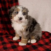 processed/b2e52eec-b537-4925-b156-977fc3587793/listing/c9d27691-2512-4be5-ae29-ad6b03ef0d93/0b4f6c5a-86b4-4aee-bfb4-5f255e9a6215