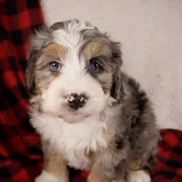 processed/b2e52eec-b537-4925-b156-977fc3587793/listing/c9d27691-2512-4be5-ae29-ad6b03ef0d93/18e59a22-b4d1-464e-b056-3ab7b0796499