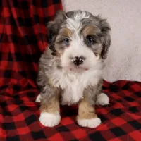 processed/b2e52eec-b537-4925-b156-977fc3587793/listing/c9d27691-2512-4be5-ae29-ad6b03ef0d93/86bc2172-018e-410b-8b9c-6e7c5940047c