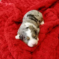 processed/b2e52eec-b537-4925-b156-977fc3587793/listing/c9d27691-2512-4be5-ae29-ad6b03ef0d93/92076afd-403a-4e45-8587-0f540a6a743e