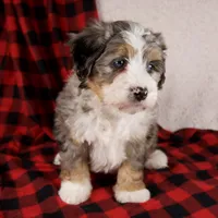 processed/b2e52eec-b537-4925-b156-977fc3587793/listing/c9d27691-2512-4be5-ae29-ad6b03ef0d93/b41f3605-a680-4667-a375-ce49bf9af79a