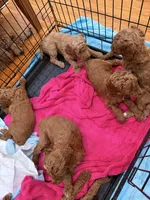 processed/b2e92e5d-893b-4012-9bd7-09aaf517890d/facility/48cd943c-56fd-4ff1-9607-0fedb3d40d44