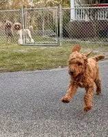 processed/b2e92e5d-893b-4012-9bd7-09aaf517890d/facility/945b6141-9bc3-4375-ae22-1033b05c9156