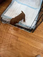 processed/b2e92e5d-893b-4012-9bd7-09aaf517890d/facility/99cac07f-adc1-46df-9eb3-ddd0f0850bcf