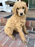 processed/b2e92e5d-893b-4012-9bd7-09aaf517890d/facility/a11c4792-5fe1-4d44-8b12-4589f84983bd